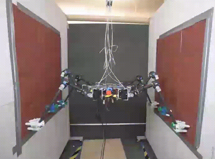 tripod.gif